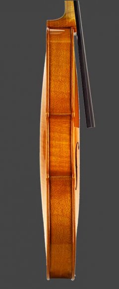 Côté gauche violon Thomas Billoux Luthier